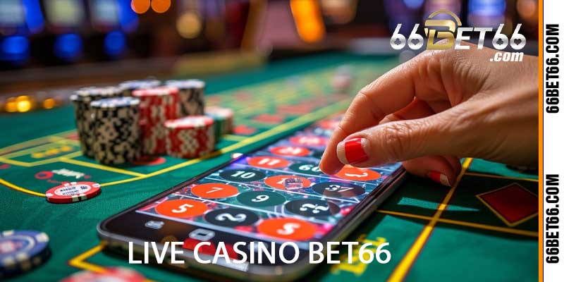 live casino bet66